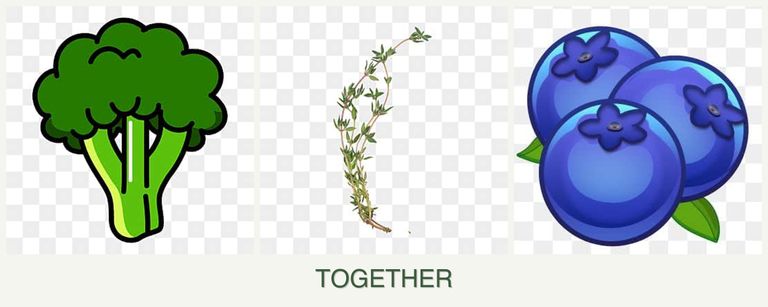 Can you plant broccoli, thyme and blueberries together?