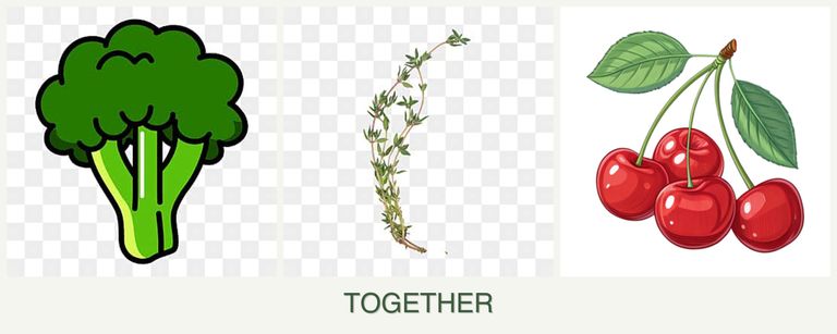 Can you plant broccoli, thyme and cherries together?