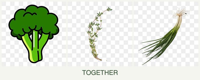 Can you plant broccoli, thyme and chives together?