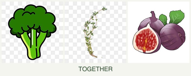 Can you plant broccoli, thyme and figs together?