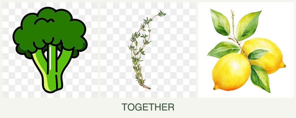 Can you plant broccoli, thyme and lemons together?