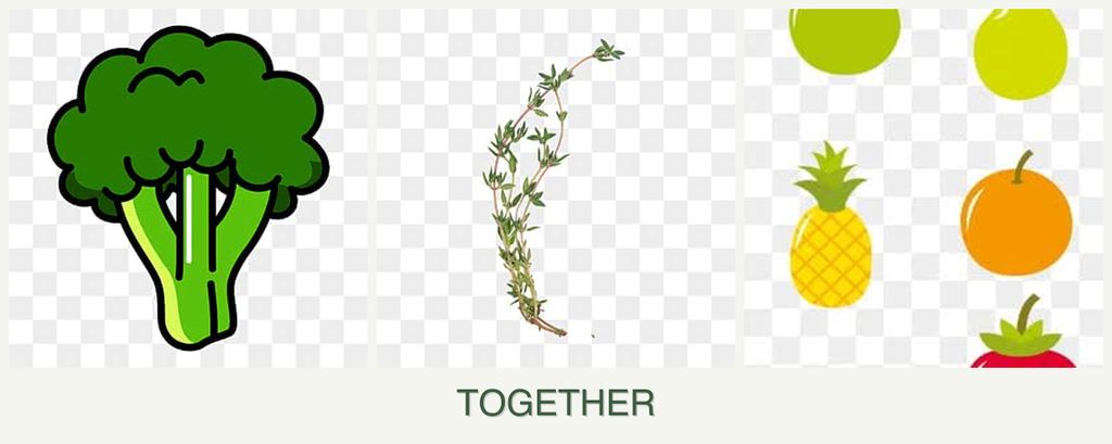 Can you plant broccoli, thyme and pears together?