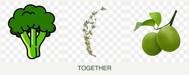 Can you plant broccoli, thyme and plums together?
