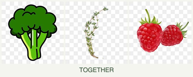 Can you plant broccoli, thyme and raspberries together?