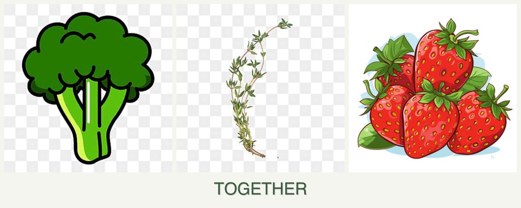 Can you plant broccoli, thyme and strawberries together?