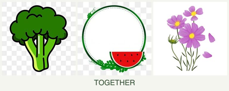 Can you plant broccoli, watermelons and cosmos together?