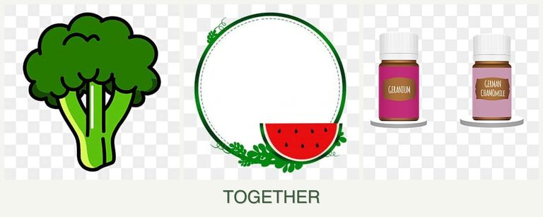 Can you plant broccoli, watermelons and geraniums together?