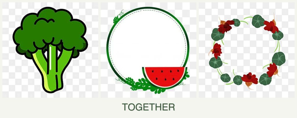 Can you plant broccoli, watermelons and nasturtiums together?