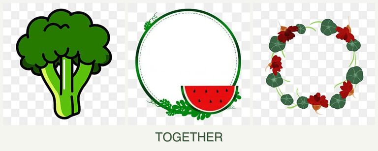 Can you plant broccoli, watermelons and nasturtiums together?