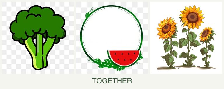 Can you plant broccoli, watermelons and sunflowers together?
