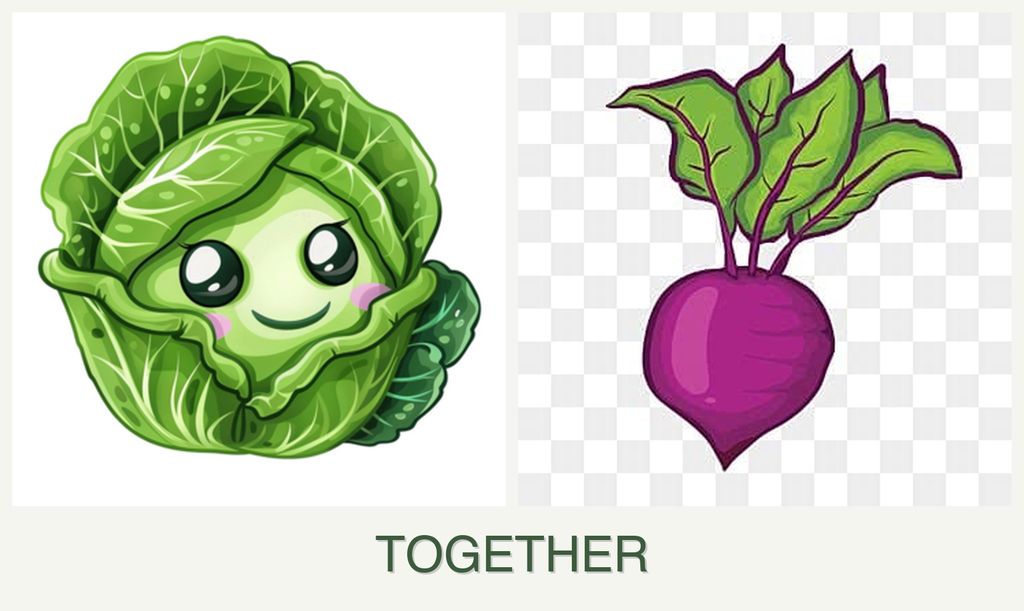 Can you plant cabbage and beets together?