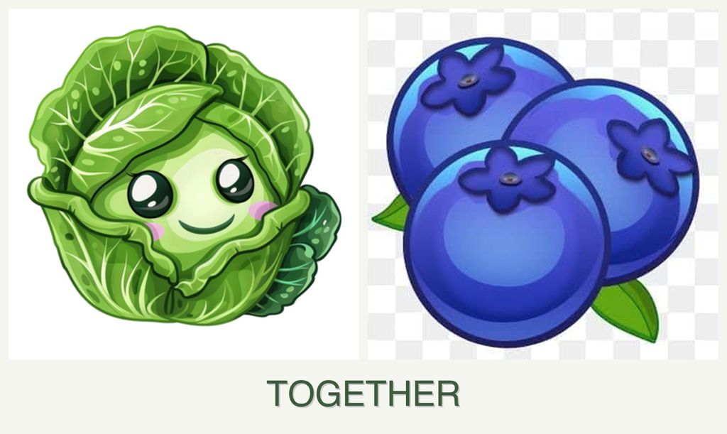 Can you plant cabbage and blueberries together?