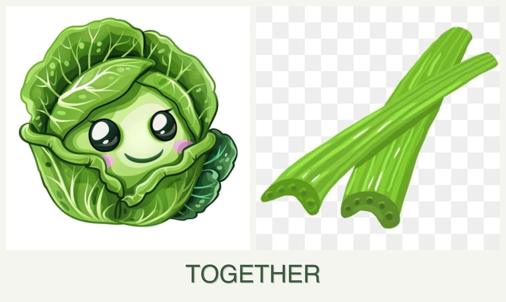 Can you plant cabbage and celery together?