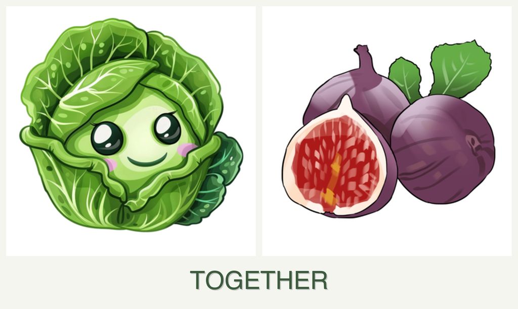 Can you plant cabbage and figs together?