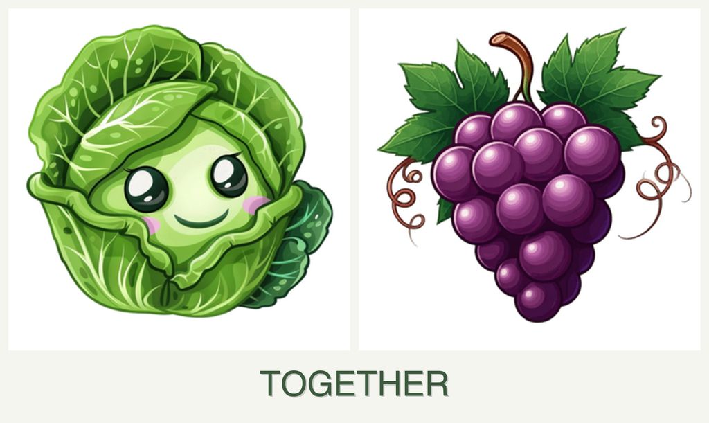 Can you plant cabbage and grapes together?