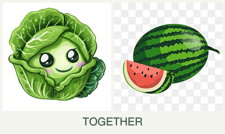 Can you plant cabbage and melons together?