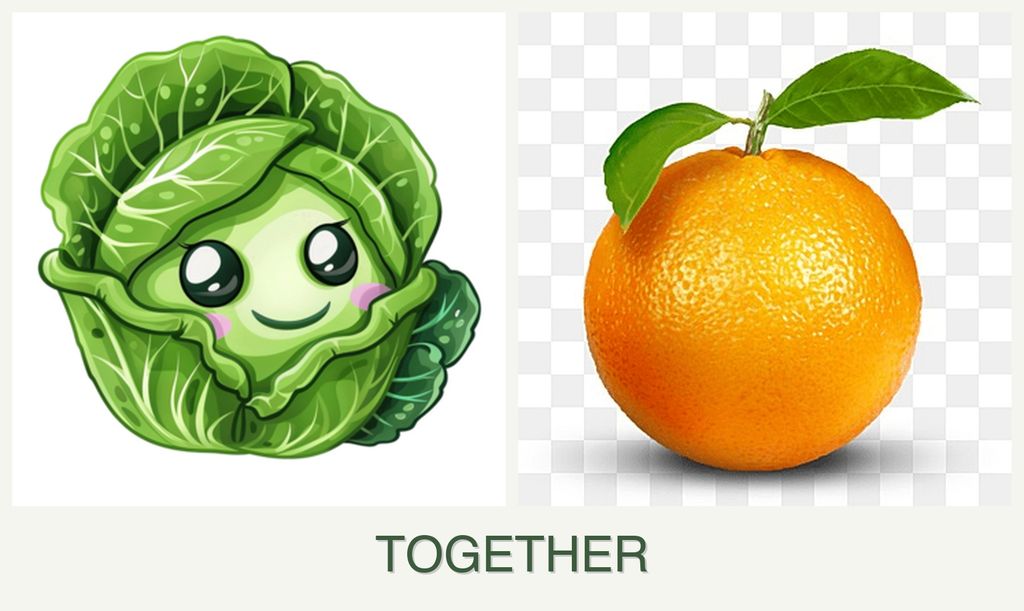 Can you plant cabbage and oranges together?