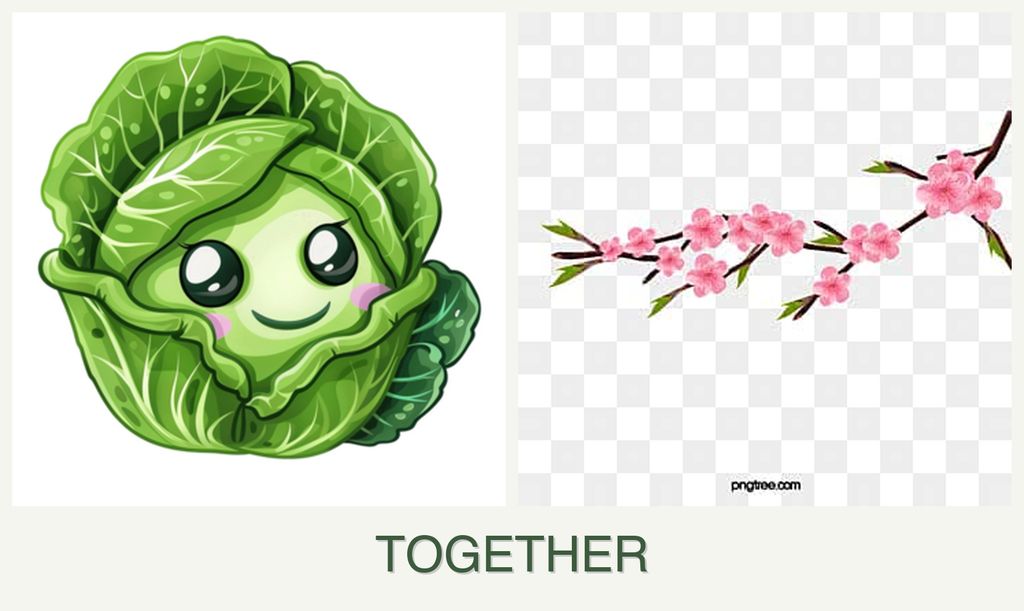 Can you plant cabbage and peaches together?