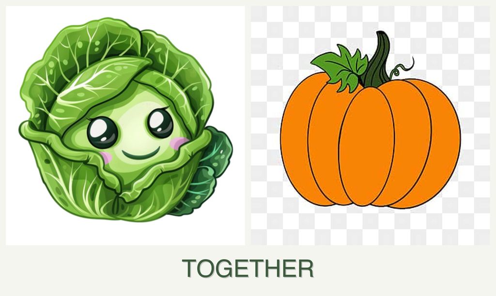 Can you plant cabbage and pumpkin together?