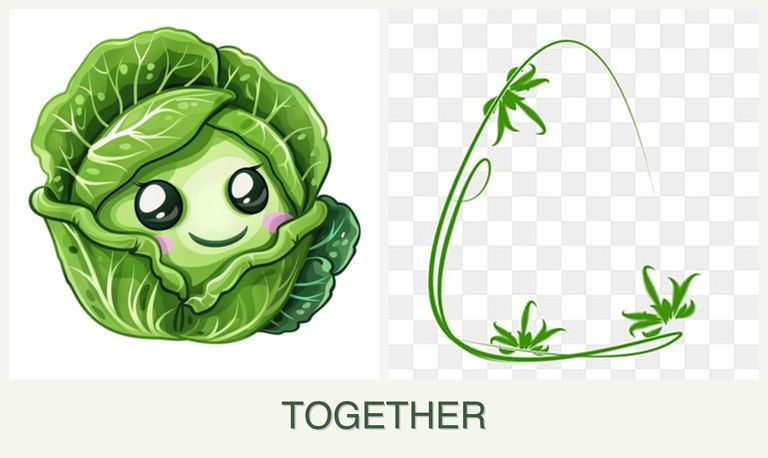Can you plant cabbage and tarragon together?