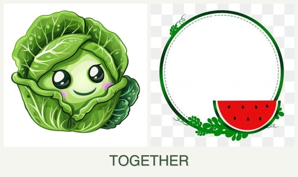 Can you plant cabbage and watermelons together?