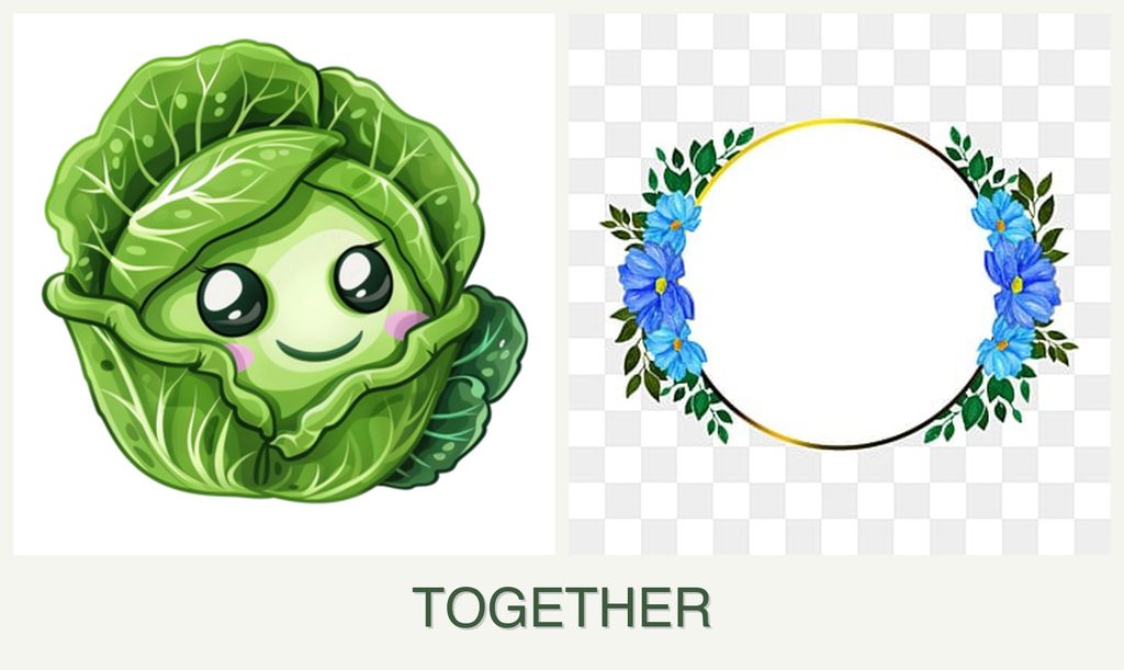 Can you plant cabbage and zinnias together?