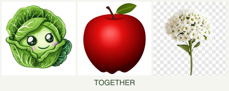 Can you plant cabbage, apples and alyssum together?