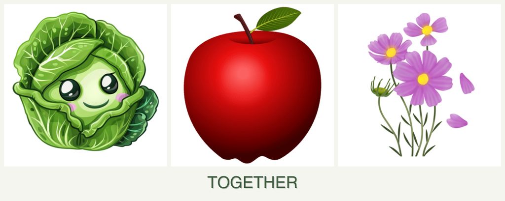 Can you plant cabbage, apples and cosmos together?