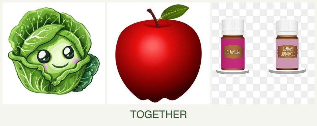 Can you plant cabbage, apples and geraniums together?