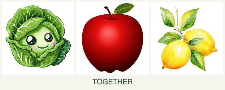 Can you plant cabbage, apples and lemons together?
