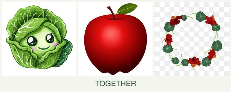 Can you plant cabbage, apples and nasturtiums together?