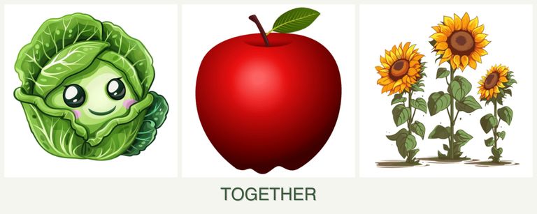 Can you plant cabbage, apples and sunflowers together?
