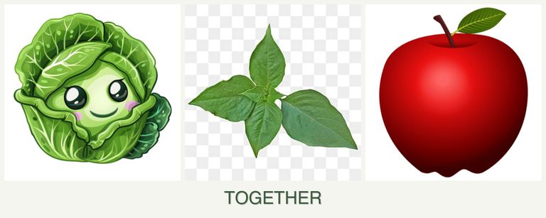 Can you plant cabbage, basil and apples together?