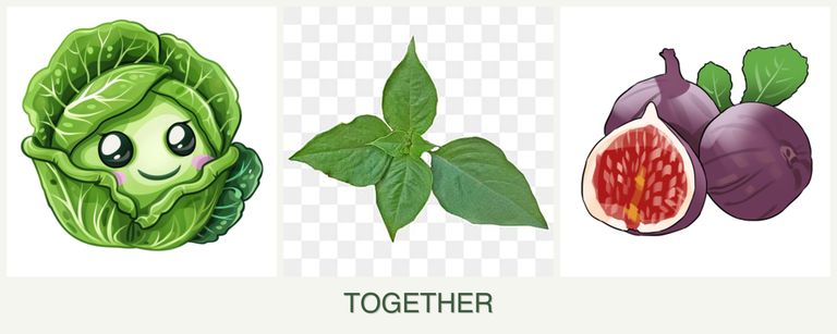 Can you plant cabbage, basil and figs together?