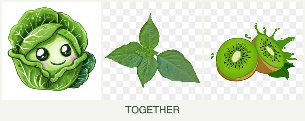 Can you plant cabbage, basil and kiwi together?