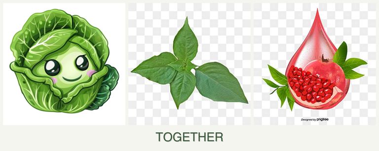 Can you plant cabbage, basil and pomegranates together?