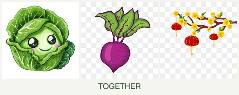 Can you plant cabbage, beets and apricots together?