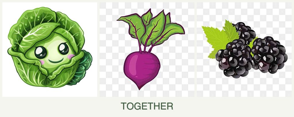 Can you plant cabbage, beets and blackberries together?