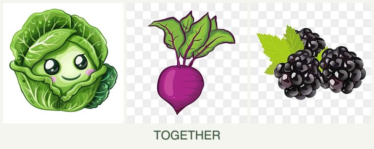 Can you plant cabbage, beets and blackberries together?
