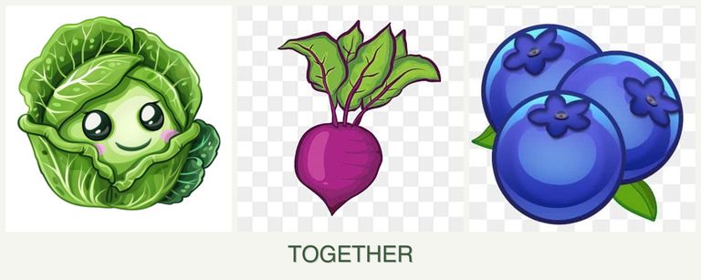 Can you plant cabbage, beets and blueberries together?