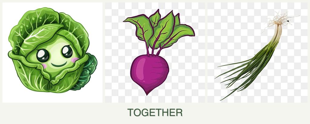 Can you plant cabbage, beets and chives together?