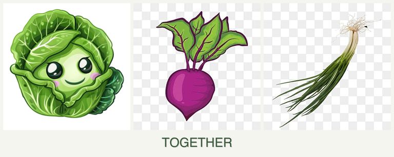 Can you plant cabbage, beets and chives together?