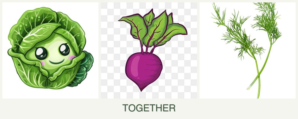 Can you plant cabbage, beets and dill together?
