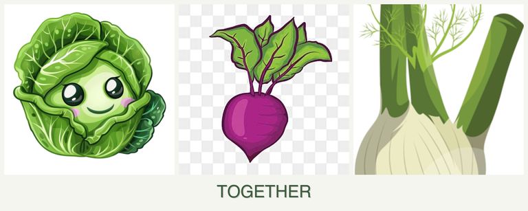 Can you plant cabbage, beets and fennel together?