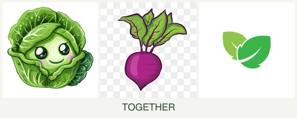 Can you plant cabbage, beets and mint together?