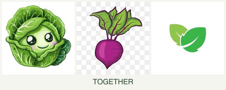 Can you plant cabbage, beets and mint together?