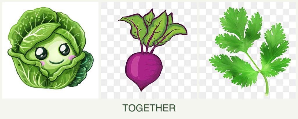 Can you plant cabbage, beets and parsley together?