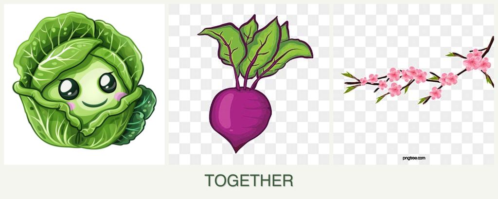 Can you plant cabbage, beets and peaches together?