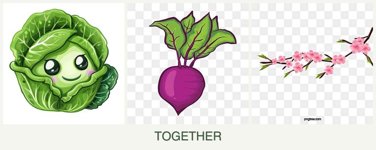 Can you plant cabbage, beets and peaches together?