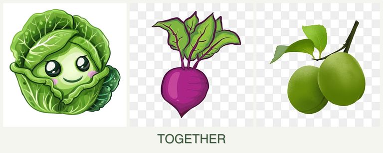 Can you plant cabbage, beets and plums together?